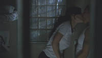 The L Word  Season 5