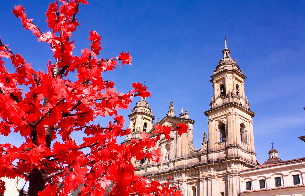 primera alcaldesa lesbiana de bogota