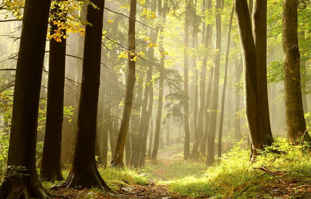 escapada de otoño