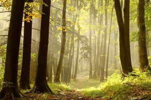 escapada de otoño