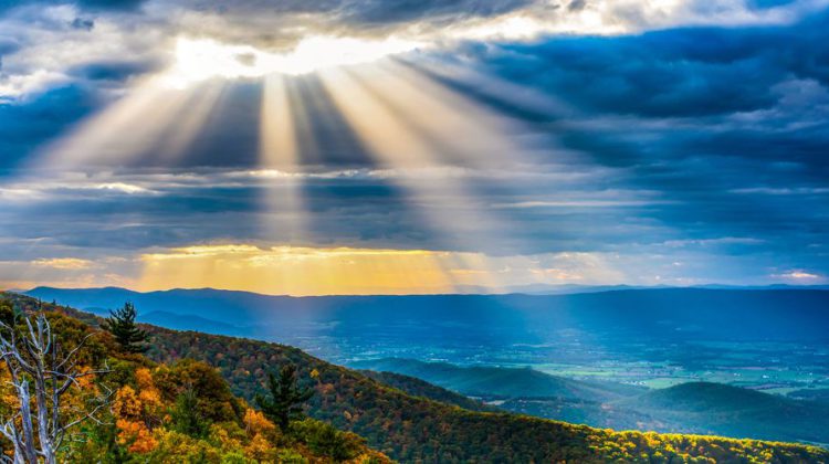Shenandoah